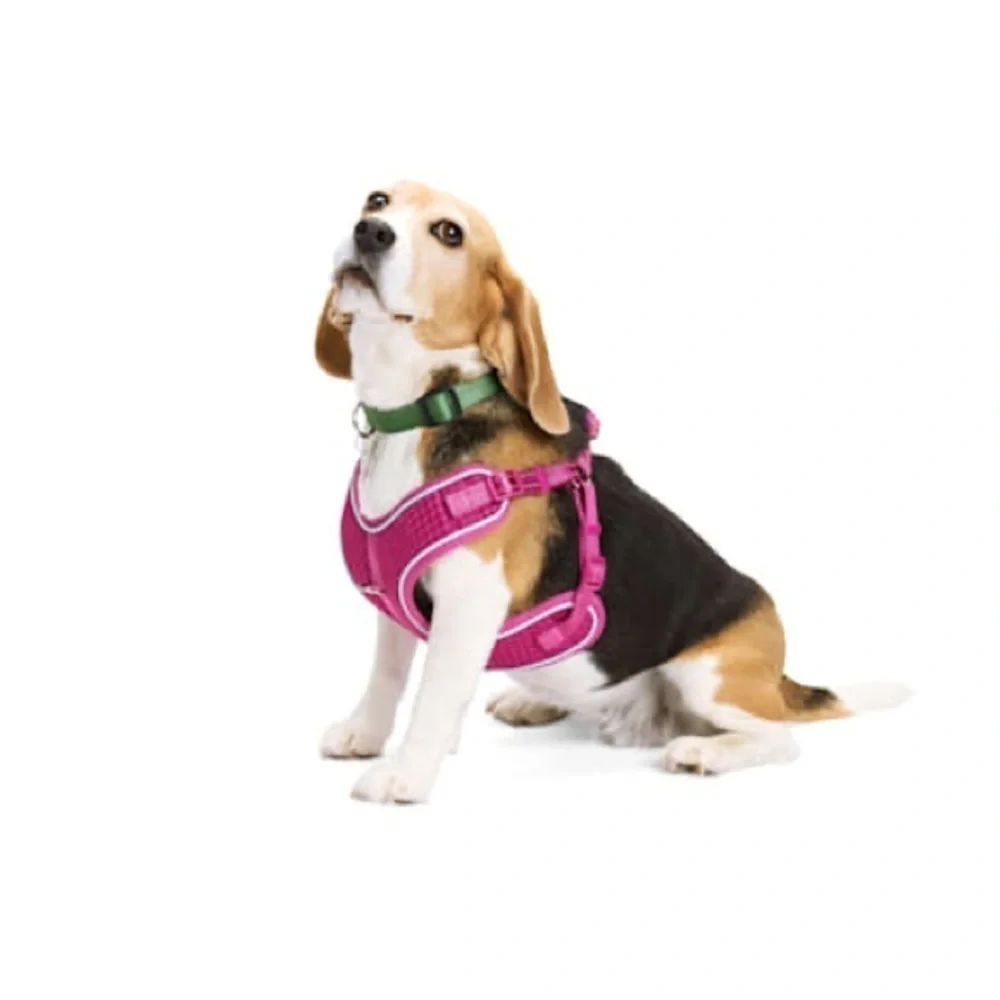 🆕 EVERYAY Pink Reflective Trim Dog Harness EMBRACE THE PACE SIZE XS / S